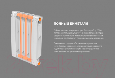 Радиатор биметаллический BiLux Plus R200 (2 cекции)