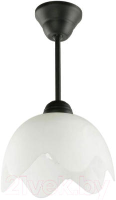 

Потолочный светильник Lampex, Cyrkonia B 662/B CZA