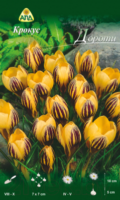Семена цветов АПД Крокус Дороти / A30307 (10шт)