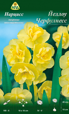 Семена цветов АПД Нарцисс Йеллоу Черфулнесс многоцветковый / A30618 (5шт)