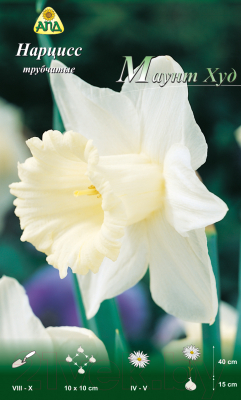 Семена цветов АПД Нарцисс Маунт Худ трубчатый / A30621 (5шт)