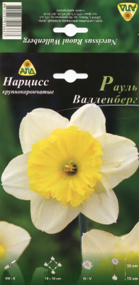 

Семена цветов АПД, Нарцисс Рауль Валленберг крупнокорончатый / A30632