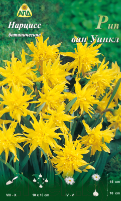 Семена цветов АПД Нарцисс Рип Ван Уинкл ботанический / A30633 (5шт)