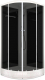 Душевая кабина Domani-Spa Delight 110 / DS01D110LBT00 (черный/тонированное стекло) - 