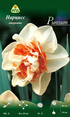 Семена цветов АПД Нарцисс Риплит махровый / A30634 (5шт)