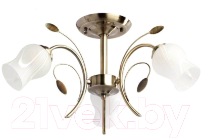 

Люстра MW light, Флора 256018103