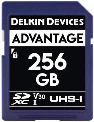 Карта памяти Delkin Advantage SDXC 256GB 633X UHS-I (Class 10) V30 (DDSDW633256G)