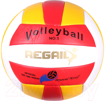 Мяч волейбольный Darvish RVV-002 / DV-S-236