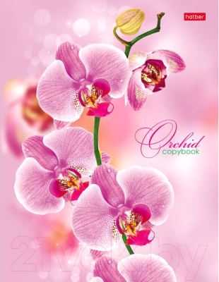 Тетрадь Hatber Розовая орхидея / 120ТК5B1-04374