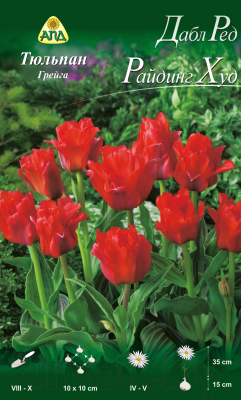 

Семена цветов АПД, Тюльпан Дабл Ред Райдинг Худ Грейга / A30746