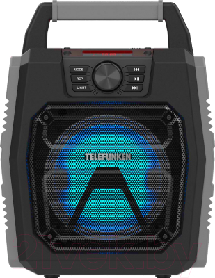 Портативная колонка Telefunken TF-PS1251B (черный)