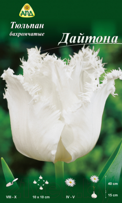 

Семена цветов АПД, Тюльпан Дайтона бахромчатый / A30749