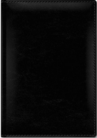 

Ежедневник Hatber, Ляссе Sarif Classic / 176Ед5-00401