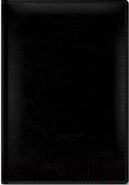 

Ежедневник Hatber, Ляссе Sarif Classic / 176Ед5-00401