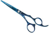 

Ножницы парикмахерские Kapous, Pro-scissors B прямые 6 / 1697