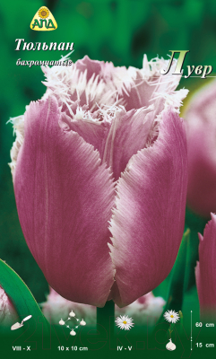 

Семена цветов АПД, Тюльпан Лувр бахромчатый / A30792