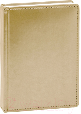 

Ежедневник Hatber, Ляссе Caprice Thermo Metallic / 176Ед5-04524