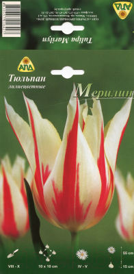 

Семена цветов АПД, Тюльпан Мерилин лилиецветный / A30803