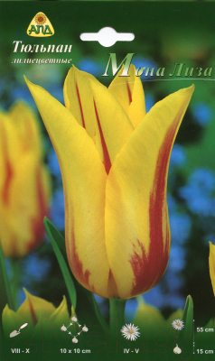 

Семена цветов АПД, Тюльпан Мона Лиза лилиецветный / A30806