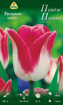 

Семена цветов АПД, Тюльпан Пейдж Полька триумф / A30820