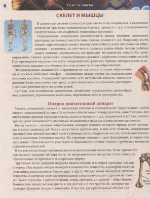 Изображение товара Энциклопедия Проф-Пресс Хочу все знать. Тело человека