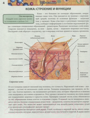 Изображение товара Энциклопедия Проф-Пресс Хочу все знать. Тело человека