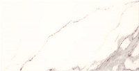 Плитка Tubadzin S-Bonella White (308x608) - 