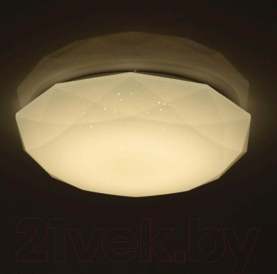 Потолочный светильник De Markt Ривз 674014801