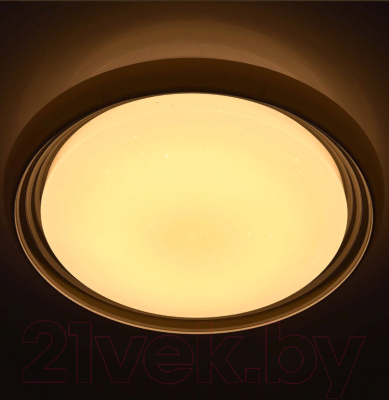 Потолочный светильник De Markt Ривз 674011901
