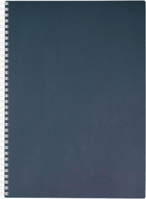 

Тетрадь Hatber, Metallic / 80Т4В1гр-03411