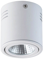 Точечный светильник De Markt Круз 637014101 - 