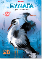 Альбом для рисования Erich Krause Птицы жарких стран / 43369 - 