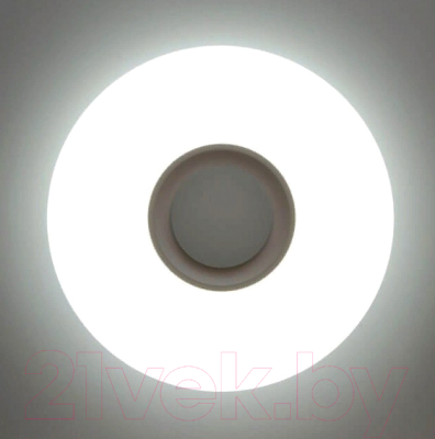 Потолочный светильник De Markt Норден 660012301