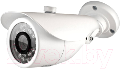 Аналоговая камера Ginzzu HAB-1031O