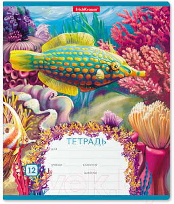 

Тетрадь Erich Krause, Подводный мир / 46545