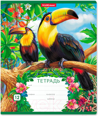 

Тетрадь Erich Krause, Экзотические птицы / 46547