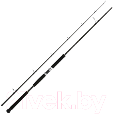 

Удилище Shimano, Beastmaster Pilk 240 / BMPILK240100200
