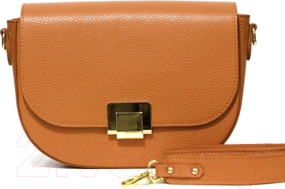 

Сумка Borse in Pelle, 67525