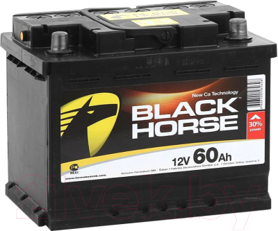 Автомобильный аккумулятор Black Horse Horse 60 L / BH60.1 (60 А/ч)