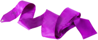 Лента для художественной гимнастики Chante Voyage / CH14-400-23-31 (Purple) - 