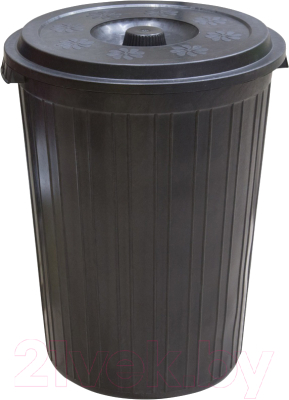 Контейнер для мусора ZETA ПЛ-00463 (75л, черный)