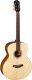 Акустическая гитара Baton Rouge X11S/BTE - 