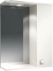 Шкаф с зеркалом для ванной Tivoli Домино 55 R / 459575 - 