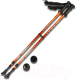 Палки для скандинавской ходьбы Indigo Sport SL-1-2 (оранжевый) - 
