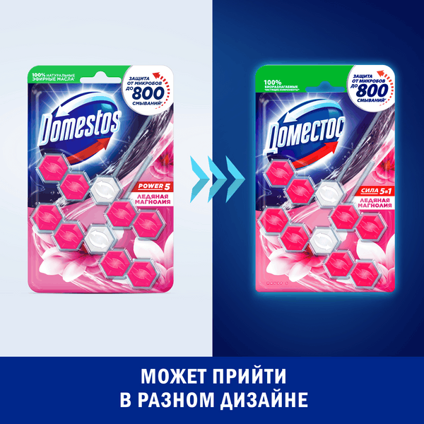 Чистящее средство для унитаза Domestos Power 5. Ледяная магнолия (2x55г)