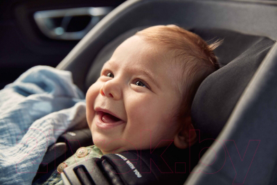 Изображение товара База для автокресла Swandoo Albert i-Size Isofix Base