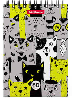 Блокнот Erich Krause 3D Stylish Cats А6 / 49663 (60л, клетка)