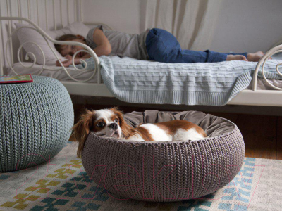 Лежанка для животных Curver Knit Cozy Pet Bed-Foggry