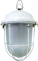 Светильник для подсобных помещений TDM НСП 02-100-002.01 У2 (с решеткой, стекло, крюк) - 