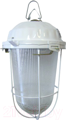 Светильник для подсобных помещений TDM НСП 02-200-022.01 У2 (с решеткой, стекло, крюк)